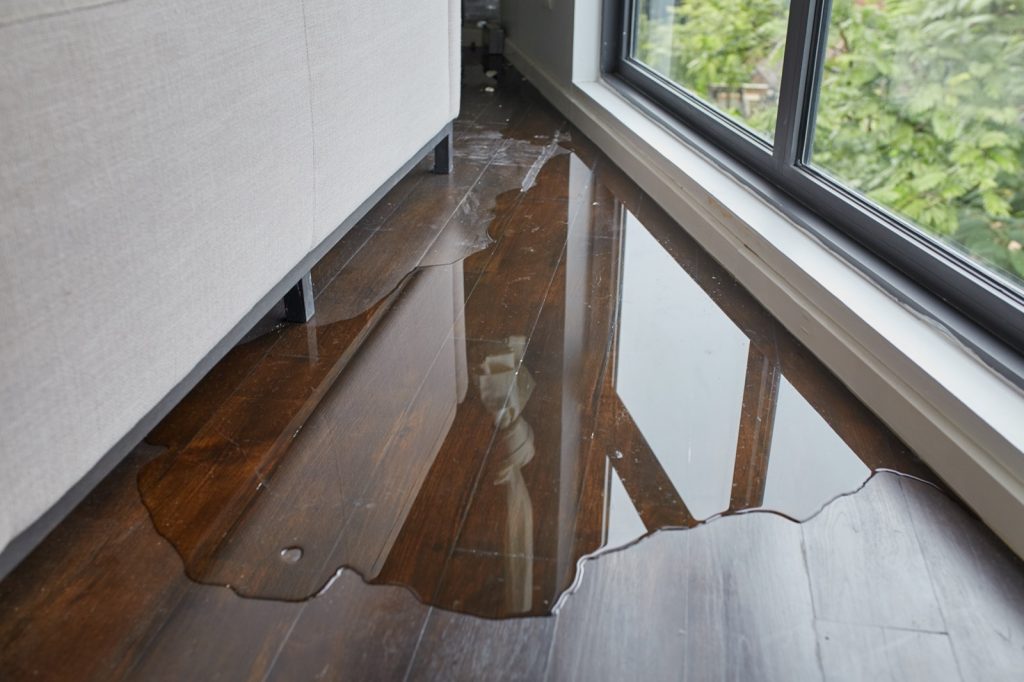 How to Deal with Flood Damage | All Floors & More