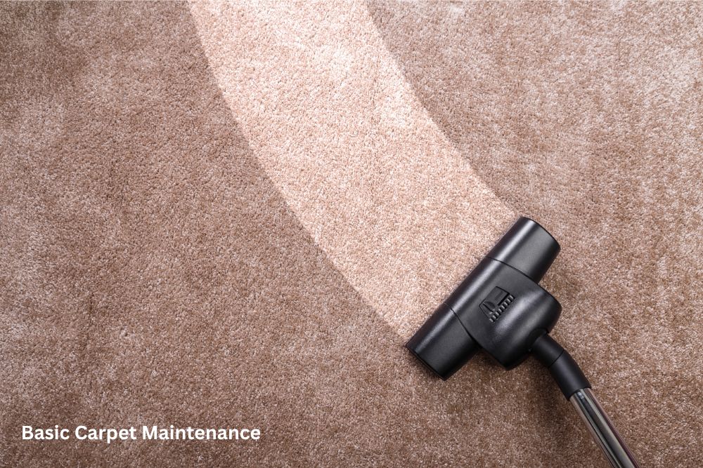 Carpet cleaning | All Floors & More