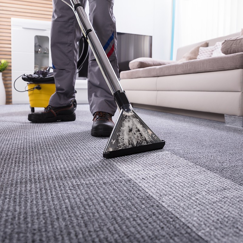 Professional Carpet Cleaning | All Floors & More