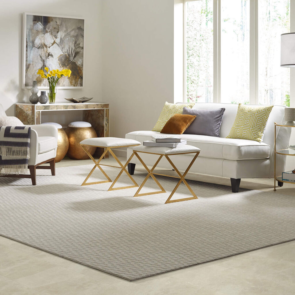 Area Rug | All Floors & More
