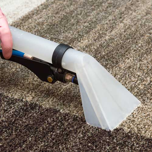 Carpet Cleaning | All Floors & More
