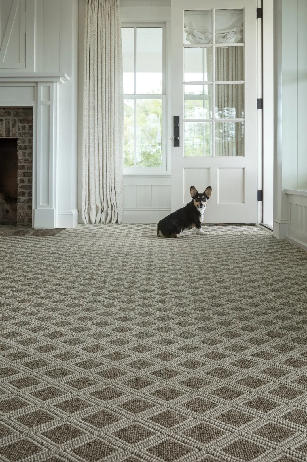 imgi_43_ZZ073-Scout-717-Desert-Palm-D_3947_ret2